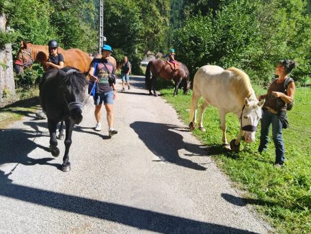 Transhumance du petit troupeau