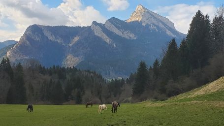 Le paradis des loulous
